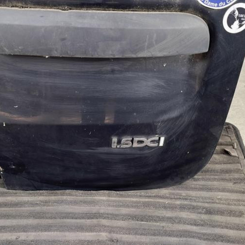 Porte de coffre droit DACIA LOGAN MCV 1 Photo n°3