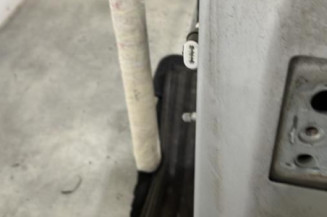 Porte arriere gauche PEUGEOT 207