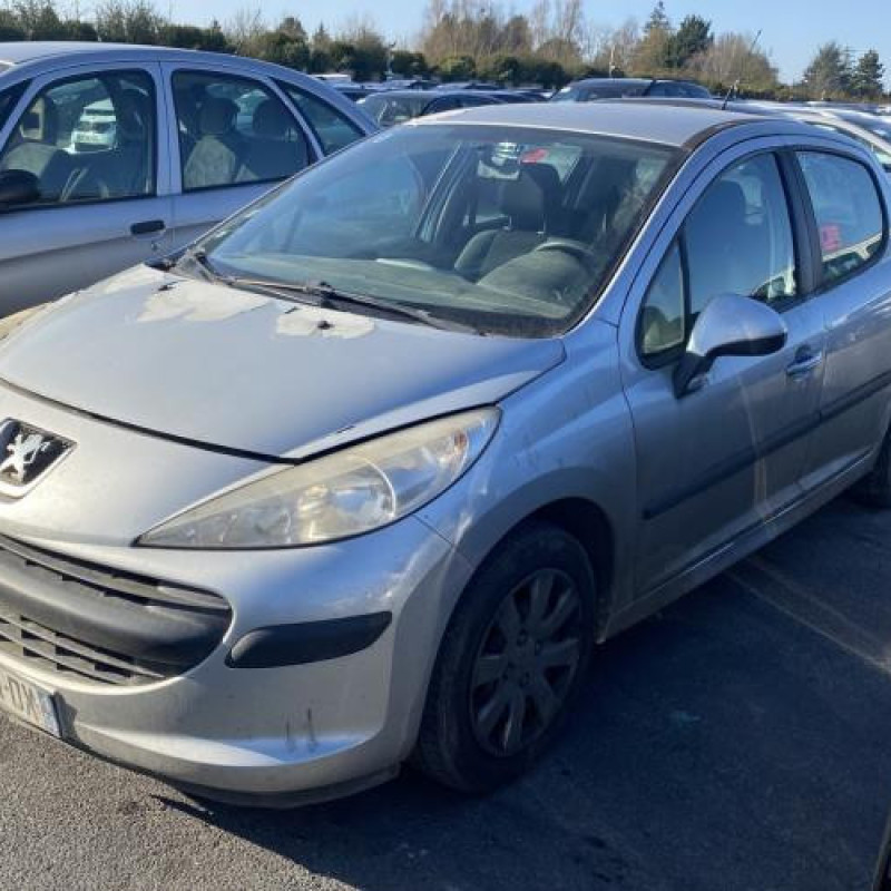 Porte arriere gauche PEUGEOT 207 Photo n°6