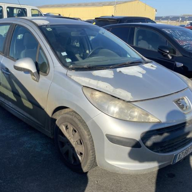 Porte arriere gauche PEUGEOT 207 Photo n°7