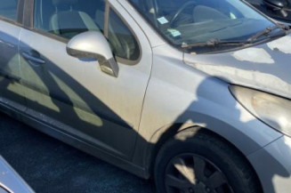 Porte arriere gauche PEUGEOT 207