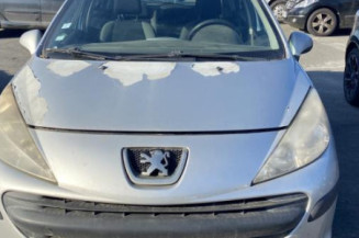 Porte arriere gauche PEUGEOT 207
