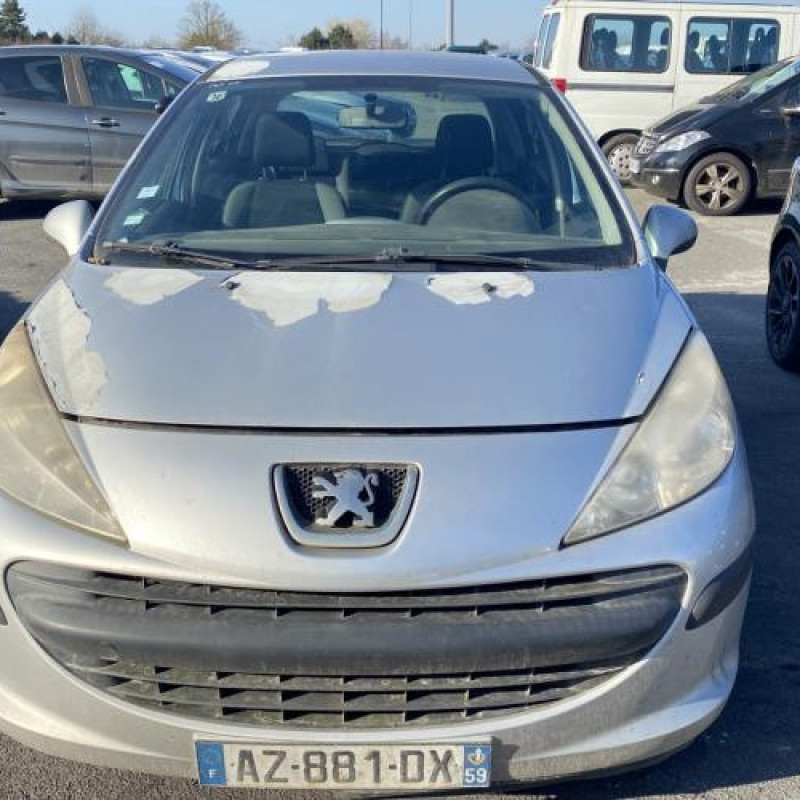 Porte arriere gauche PEUGEOT 207 Photo n°13