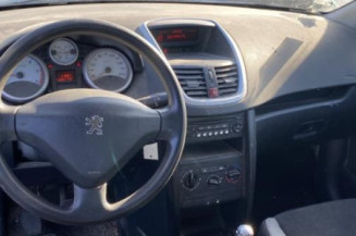 Porte arriere gauche PEUGEOT 207