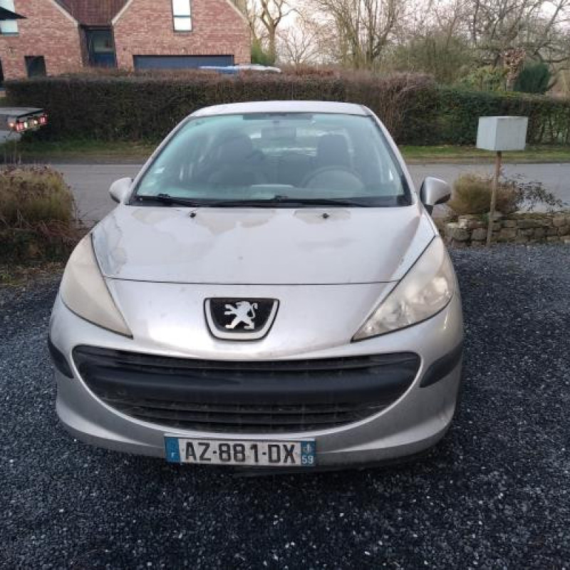 Neiman PEUGEOT 207 Photo n°5