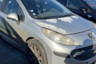 Neiman PEUGEOT 207