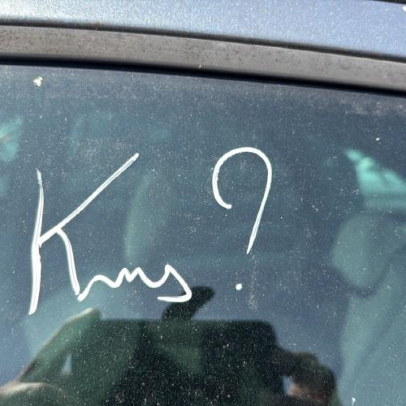 Poignee porte arriere droit CITROEN XSARA PICASSO Photo n°19