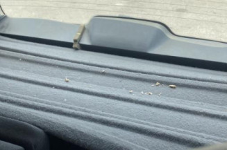 Feu arriere principal gauche (feux) OPEL MERIVA A