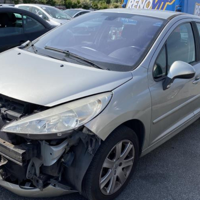 Porte avant droit PEUGEOT 207 Photo n°9