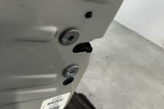 Porte avant gauche PEUGEOT 207