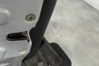 Porte avant gauche PEUGEOT 206