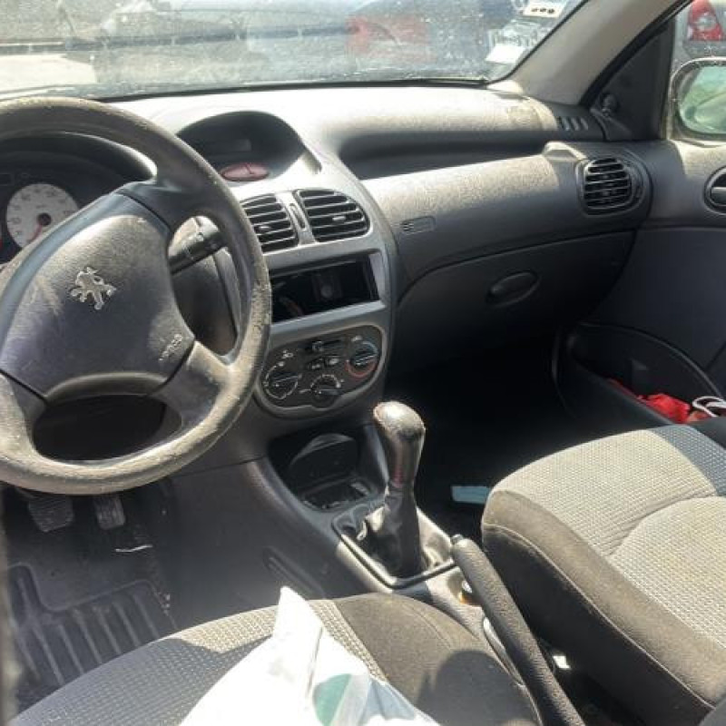 Porte avant gauche PEUGEOT 206 Photo n°18