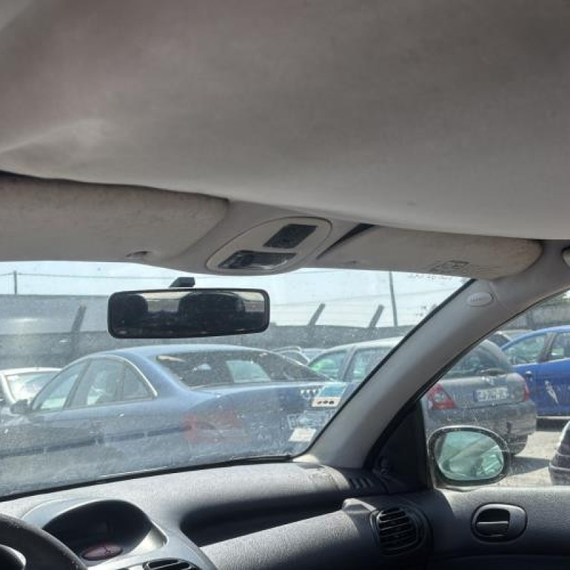 Porte avant gauche PEUGEOT 206 Photo n°19