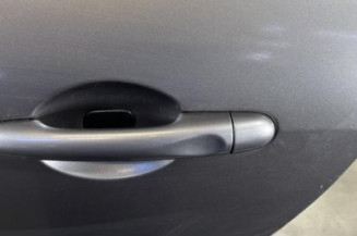 Porte arriere gauche RENAULT SCENIC 3