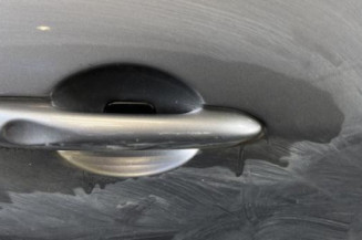 Porte avant droit RENAULT SCENIC 3