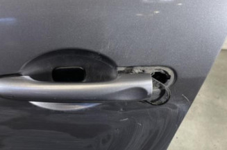 Porte avant gauche RENAULT SCENIC 3