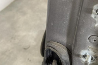 Porte avant gauche RENAULT SCENIC 3