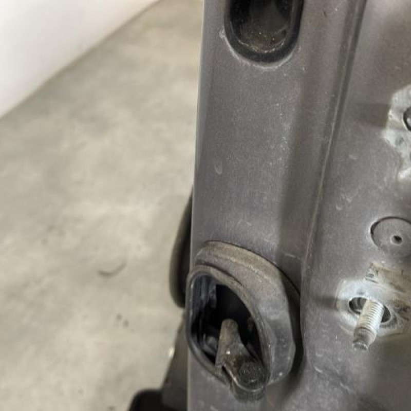Porte avant gauche RENAULT SCENIC 3 Photo n°3