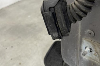 Porte avant gauche RENAULT SCENIC 3