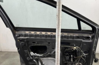 Porte avant gauche RENAULT SCENIC 3
