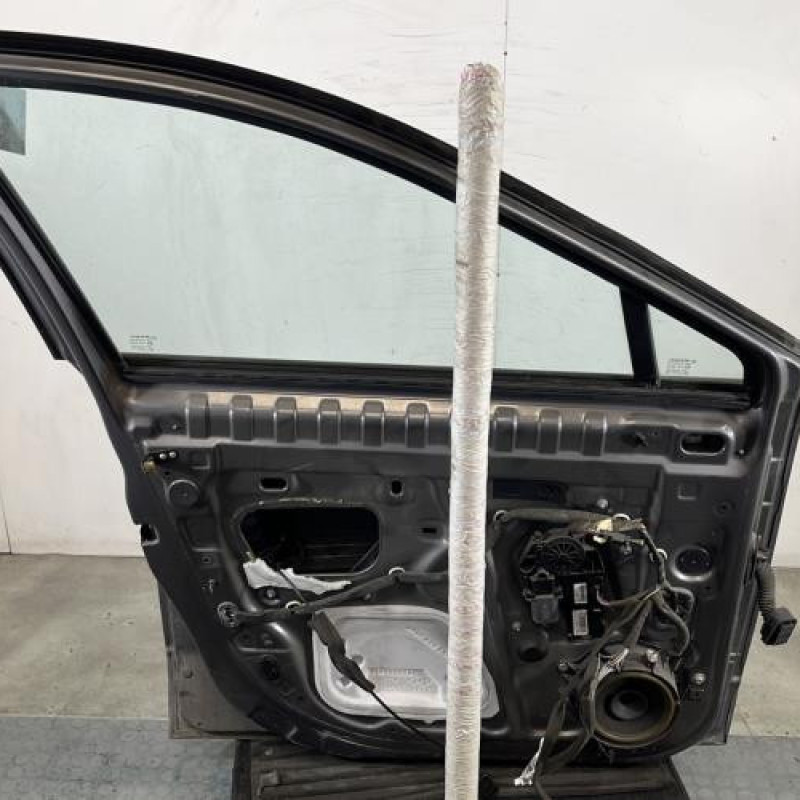 Porte avant gauche RENAULT SCENIC 3 Photo n°5