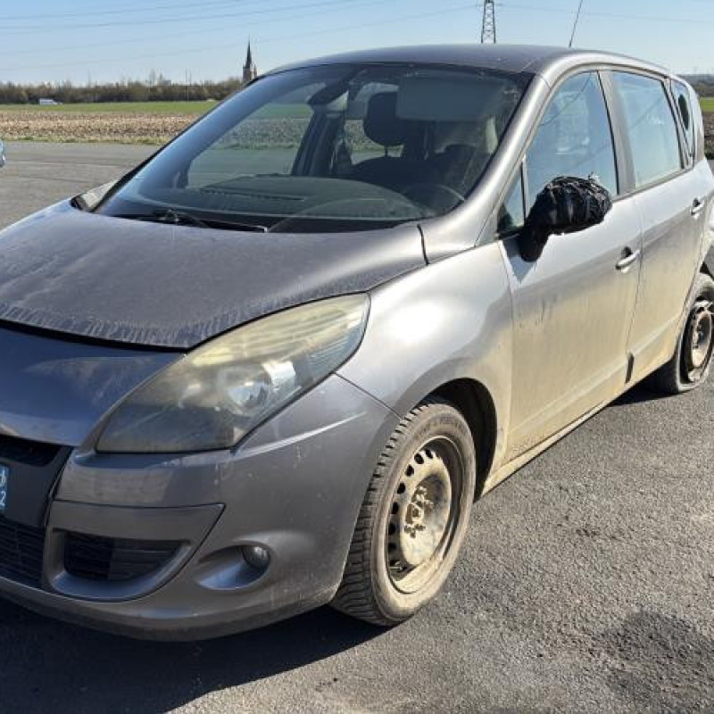 Porte avant gauche RENAULT SCENIC 3 Photo n°6
