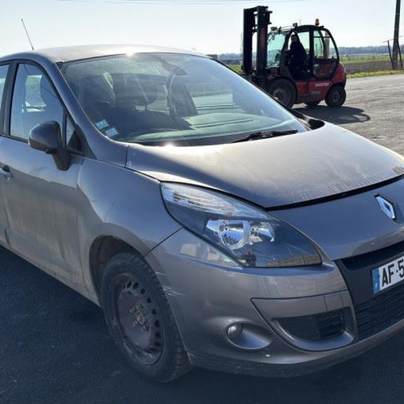 Porte avant gauche RENAULT SCENIC 3 Photo n°7