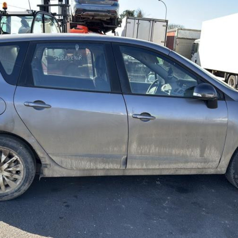 Porte avant gauche RENAULT SCENIC 3 Photo n°9