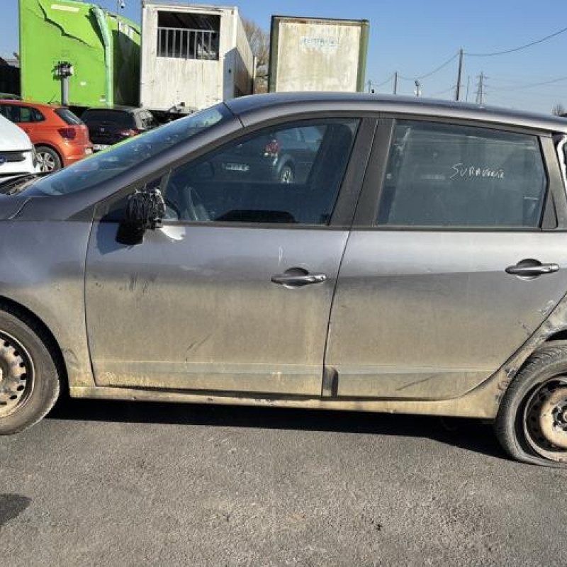 Porte avant gauche RENAULT SCENIC 3 Photo n°10