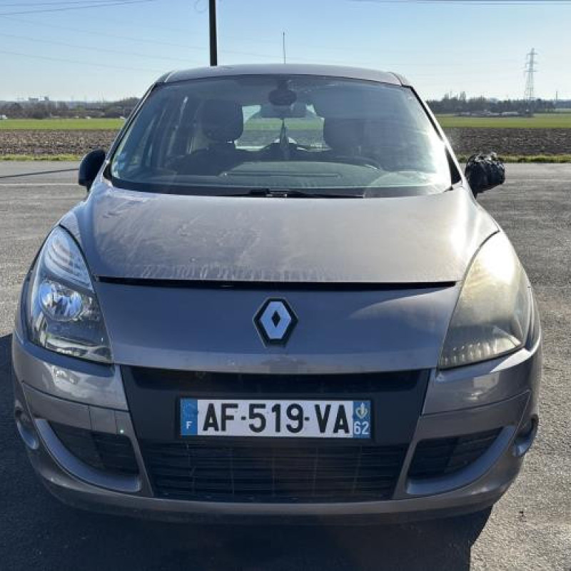Porte avant gauche RENAULT SCENIC 3 Photo n°11