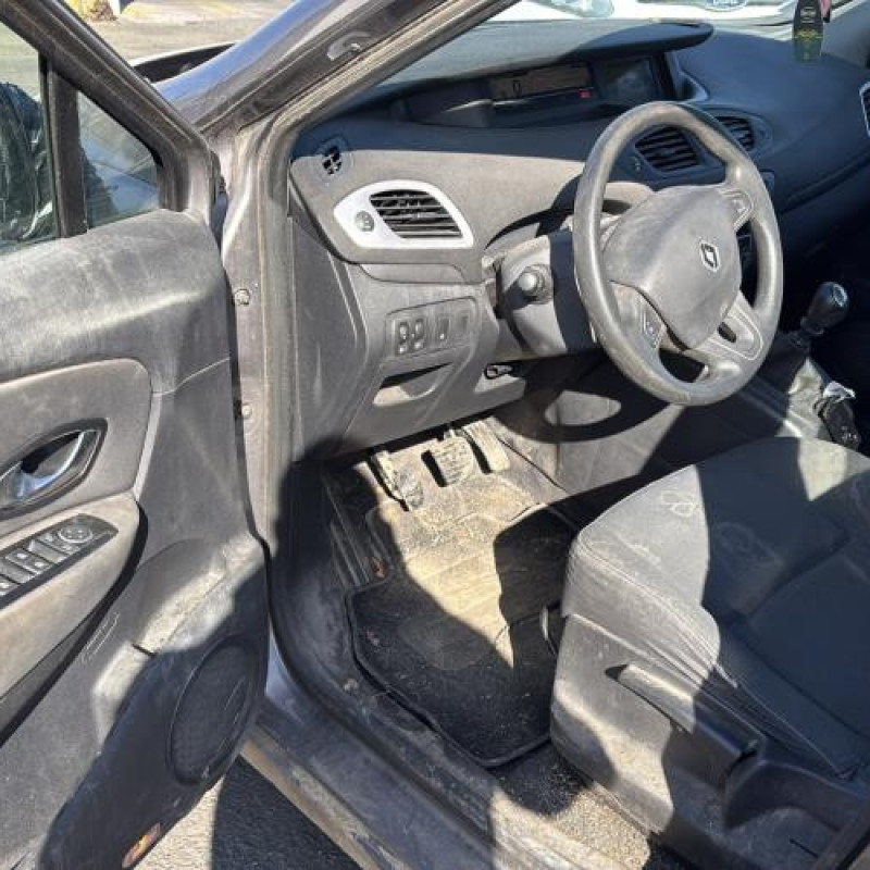 Porte avant gauche RENAULT SCENIC 3 Photo n°12
