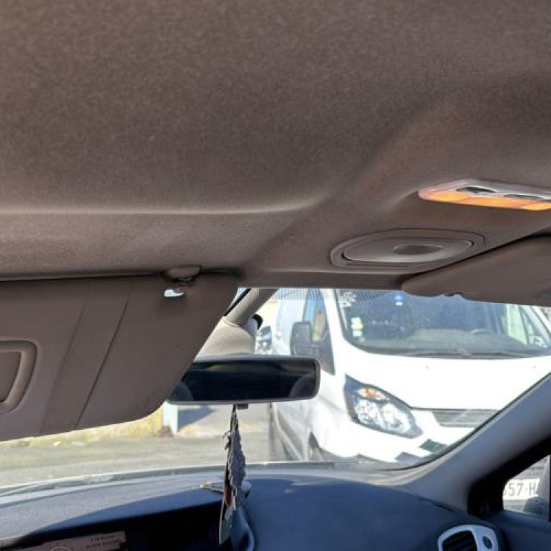 Porte avant gauche RENAULT SCENIC 3 Photo n°16