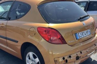 Pare soleil gauche PEUGEOT 207