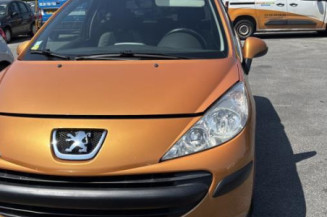 Pare soleil gauche PEUGEOT 207