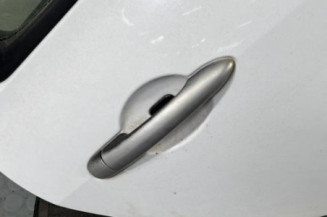 Porte arriere droit RENAULT CLIO 3