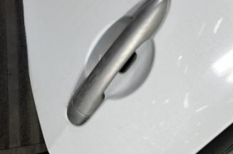 Porte arriere gauche RENAULT CLIO 3