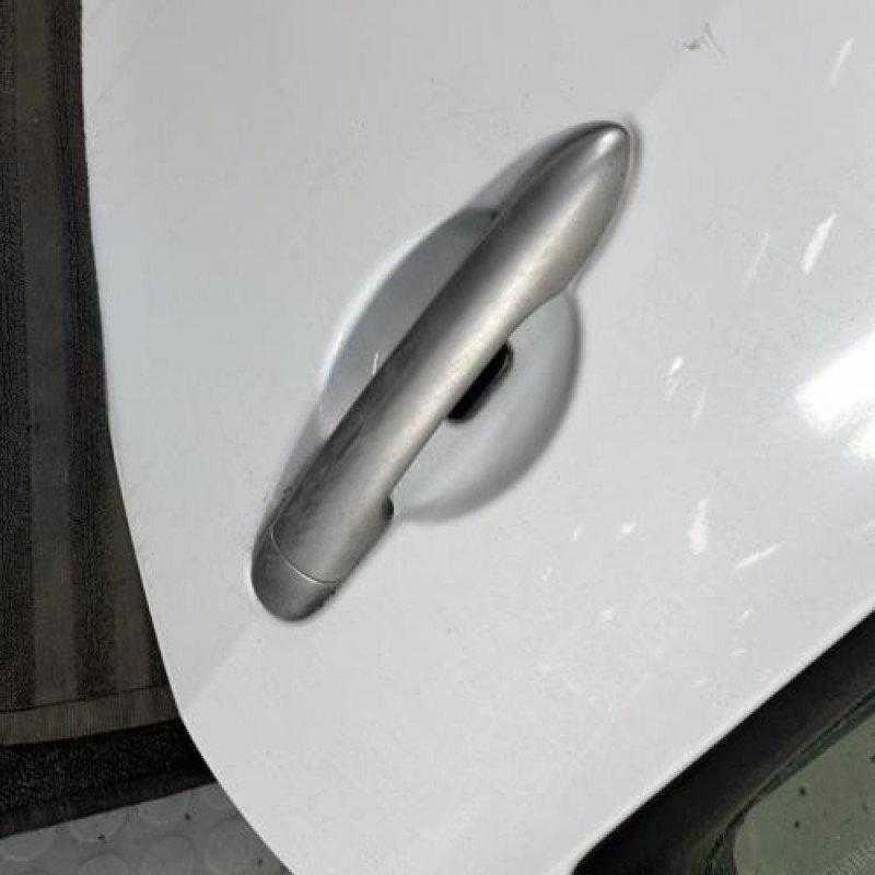 Porte arriere gauche RENAULT CLIO 3 Photo n°2