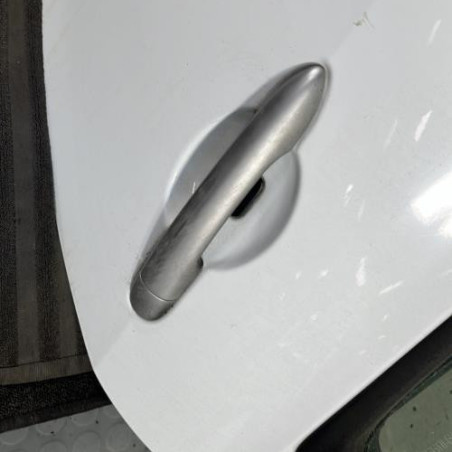 Porte arriere gauche RENAULT CLIO 3