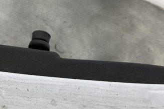 Porte arriere gauche RENAULT CLIO 3