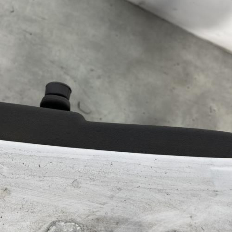 Porte arriere gauche RENAULT CLIO 3 Photo n°3