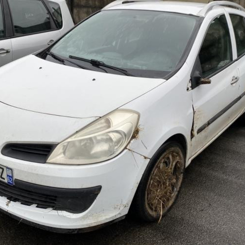 Porte arriere gauche RENAULT CLIO 3 Photo n°6