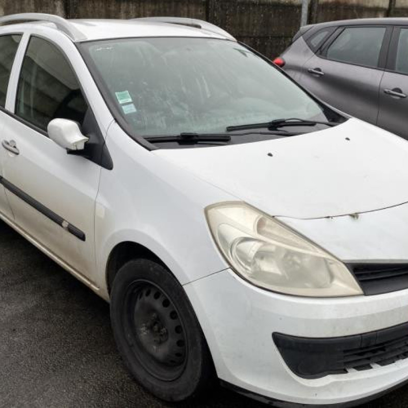 Porte arriere gauche RENAULT CLIO 3 Photo n°7