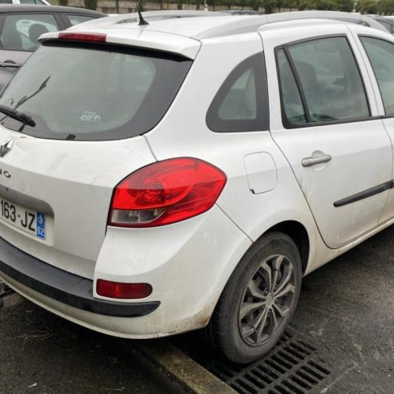 Porte arriere gauche RENAULT CLIO 3 Photo n°8