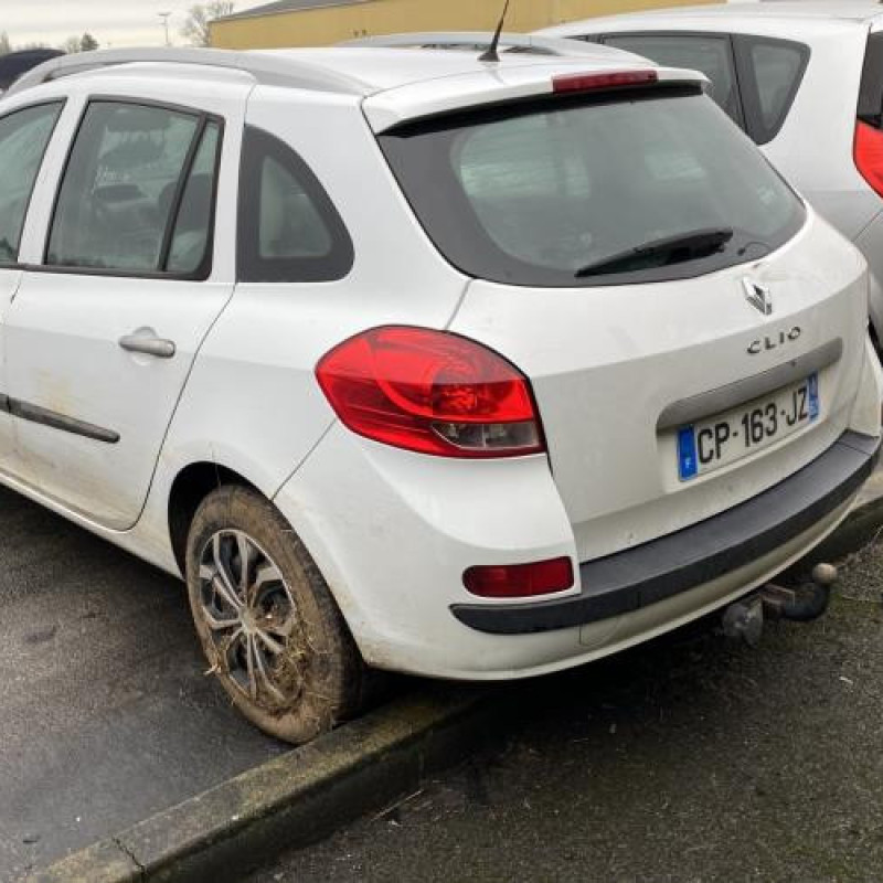 Porte arriere gauche RENAULT CLIO 3 Photo n°9