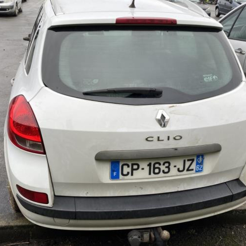 Porte arriere gauche RENAULT CLIO 3 Photo n°10