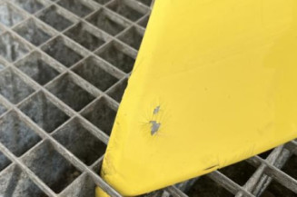 Aile avant gauche CITROEN C3 1