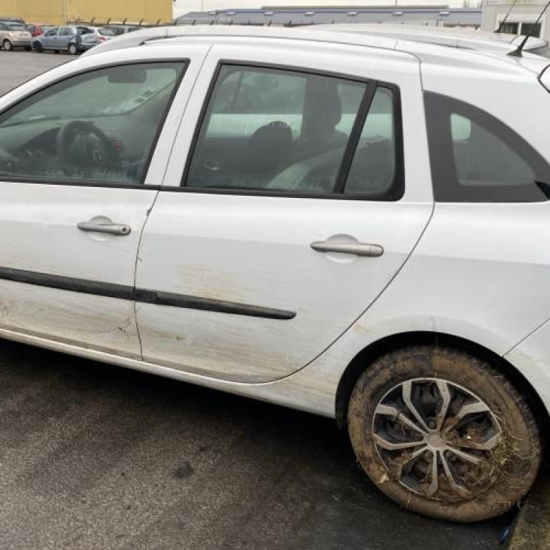 Porte arriere gauche RENAULT CLIO 3 Photo n°11