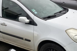 Porte arriere gauche RENAULT CLIO 3