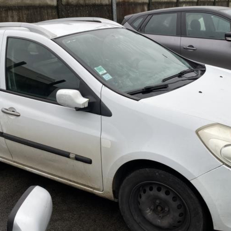 Porte arriere gauche RENAULT CLIO 3 Photo n°12