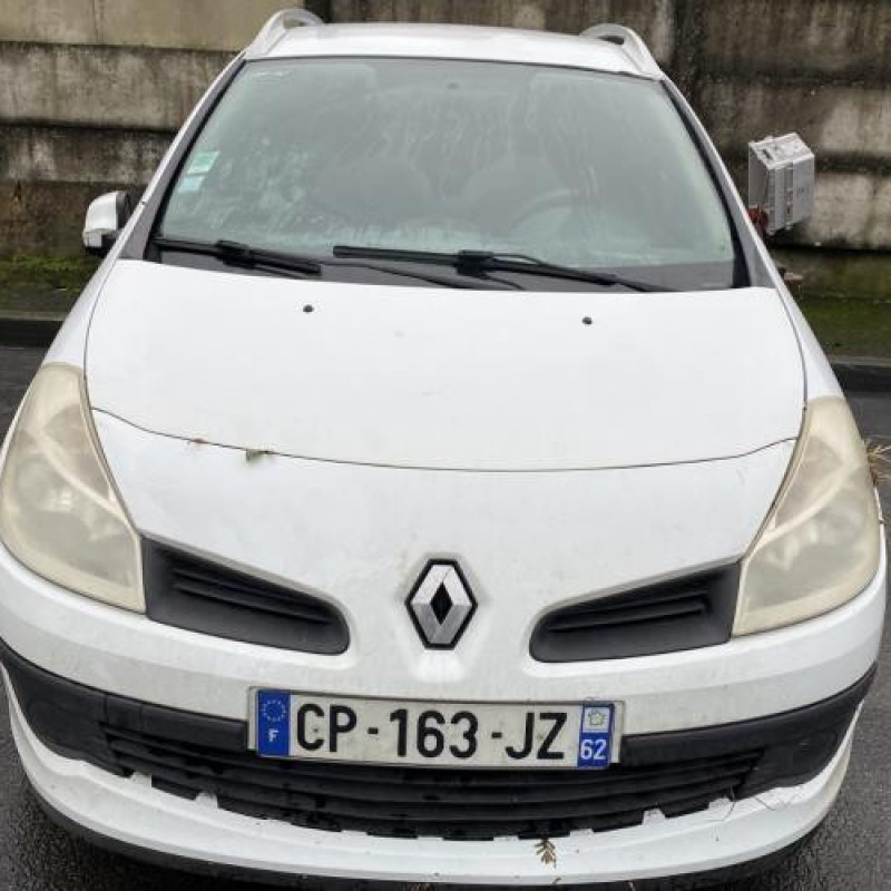 Porte arriere gauche RENAULT CLIO 3 Photo n°13